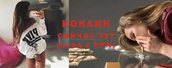 PSILOCYBIN Няндома