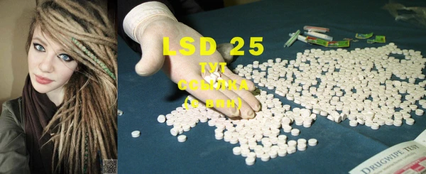 ECSTASY Новодвинск