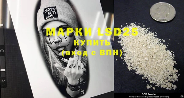 PSILOCYBIN Няндома