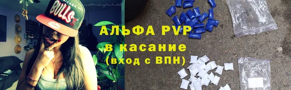 PSILOCYBIN Няндома