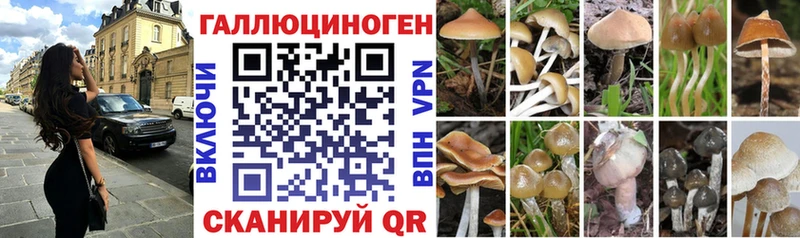 Галлюциногенные грибы GOLDEN TEACHER  Кодинск 